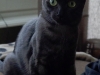 Posing Cheeba